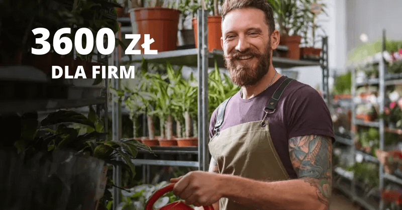 Proste 3600 zł za konto firmowe od Santander Bank Polska!